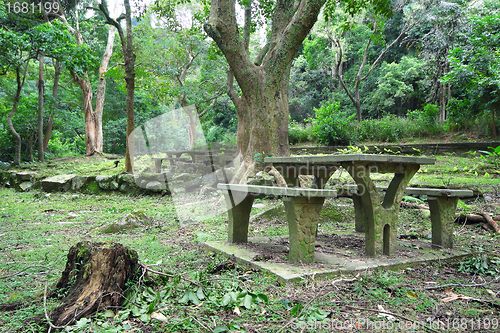 Image of Picnic place in forest