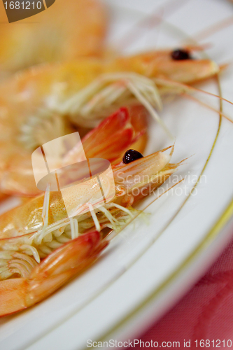 Image of shrimps