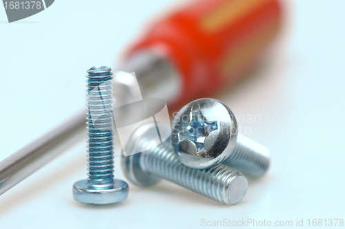 Image of  screws