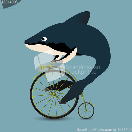 Image of Whale on a bicycle