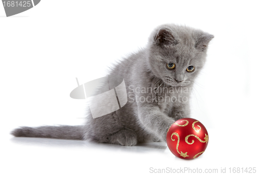 Image of kitten and christmas bauble