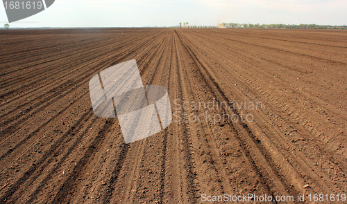 Image of Cultivated soil