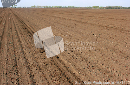 Image of Cultivated soil