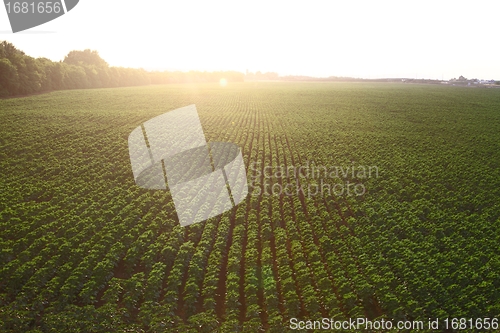Image of Agriculture