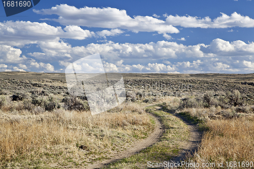 Image of sagebrush high desert in Wyoming