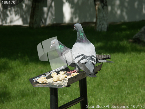 Image of A feeding-rack