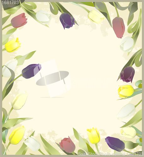 Image of Greeting card with tulips. Colorful fresh spring tulips.