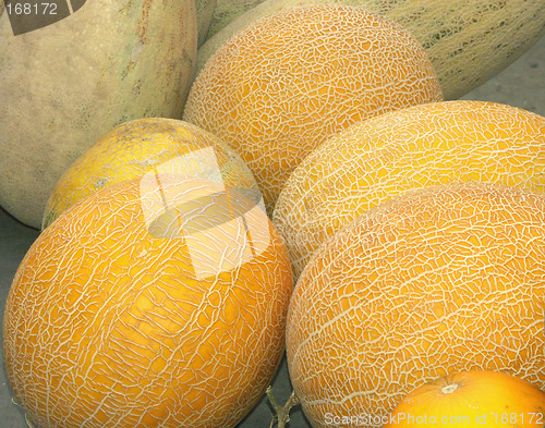 Image of Muskmelons on a counter