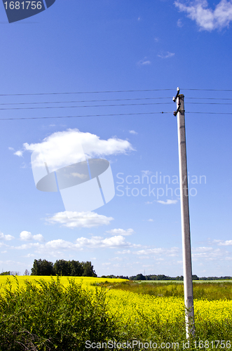 Image of background of rapeseed field and electricity pole 