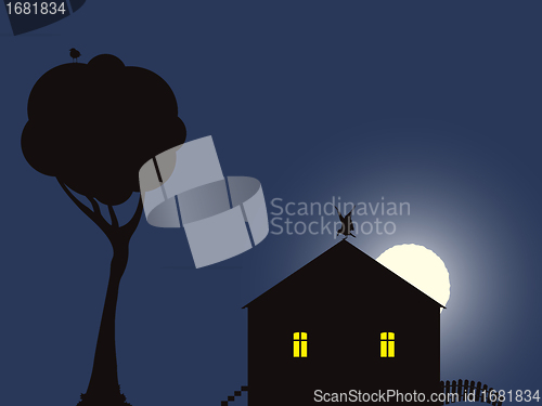 Image of night scene
