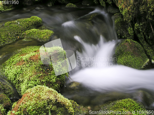 Image of Mountain Stream