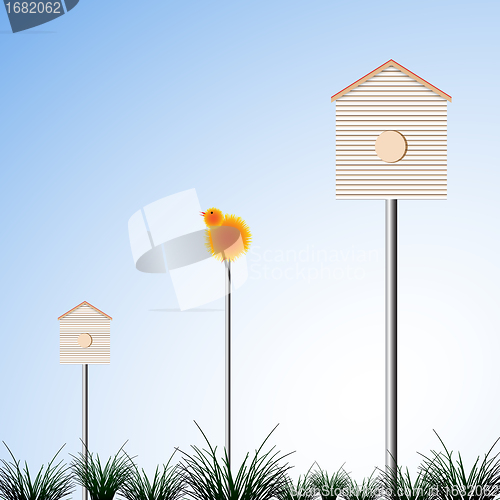 Image of bird houses