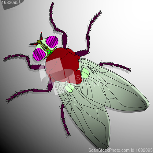 Image of fly cartoon