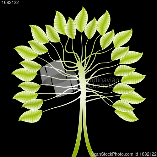 Image of green tree