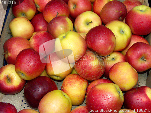 Image of Red apples close up
