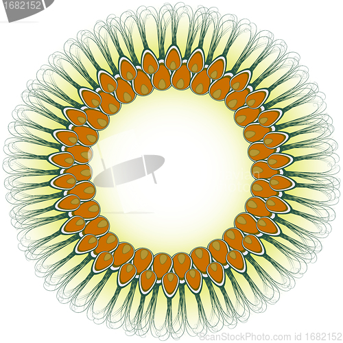 Image of peacock design