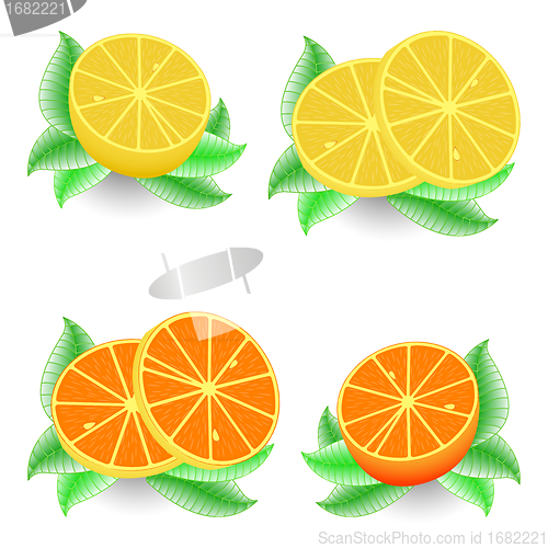 Image of sliced orange and lemon
