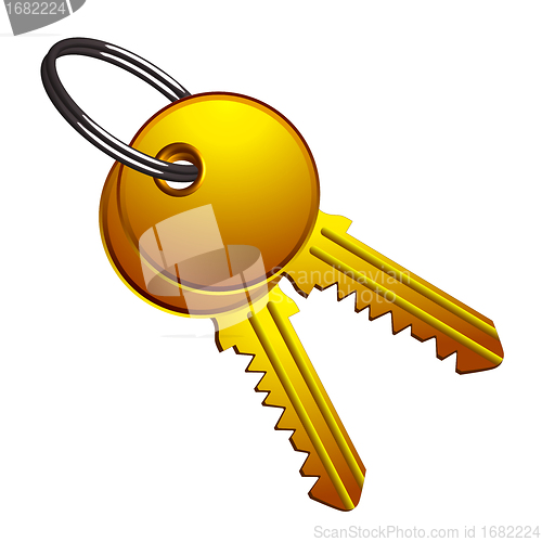 Image of golden keys on metallic ring