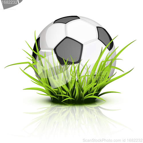 Image of Soccer ball on reflecting grass