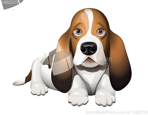 Image of Basset Hound puppy