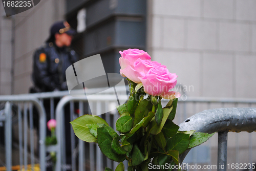 Image of Rose at Oslo Courthouse