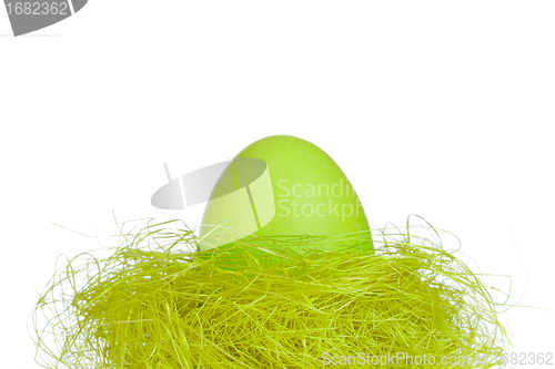 Image of easter egg in nest