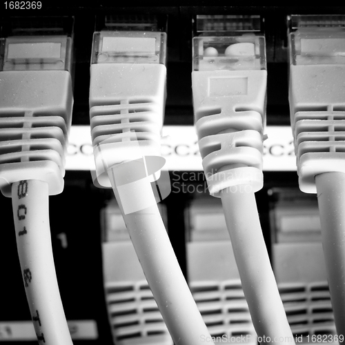 Image of network cables