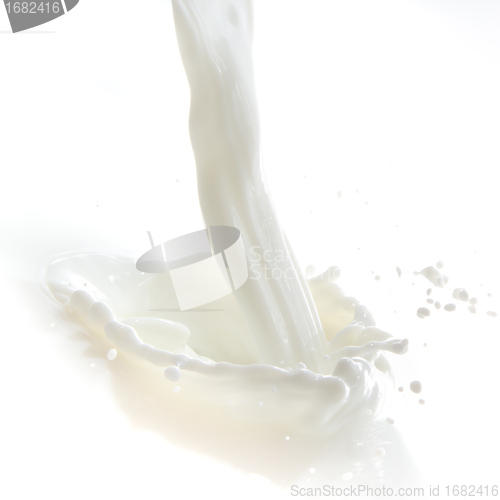 Image of milk splash