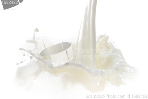 Image of milk splash