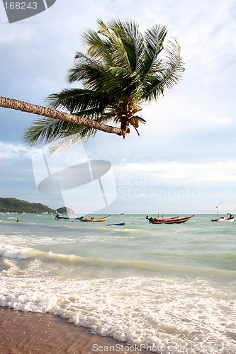 Image of Tropical Storm