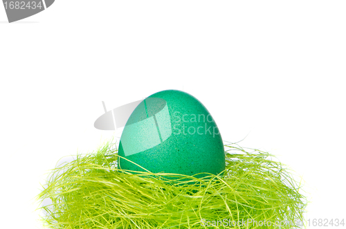 Image of easter egg in nest