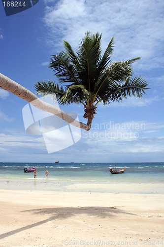 Image of Tropical Beach