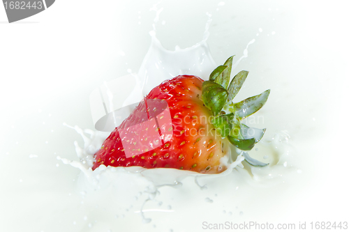 Image of strawberry splashing into milk