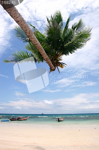 Image of Tropical Beach