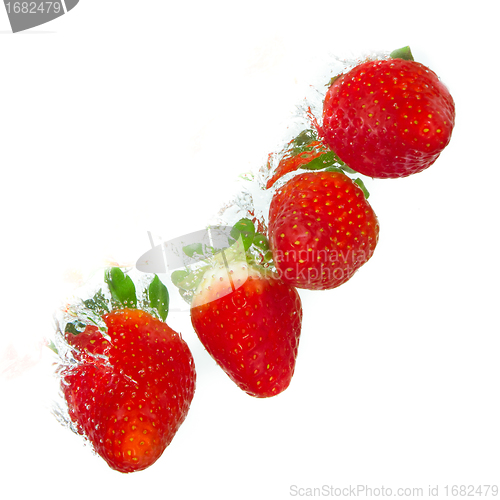 Image of strawberry in the water