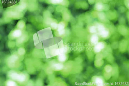 Image of Abstract green blurred bokeh for background use