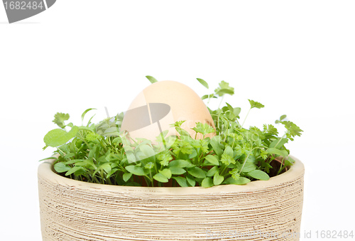 Image of Spring vegetable with egg in ceramic pot