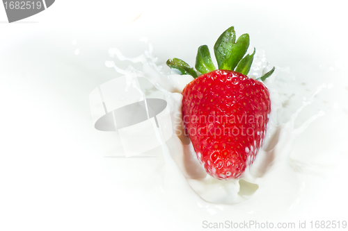 Image of strawberry splashing into milk