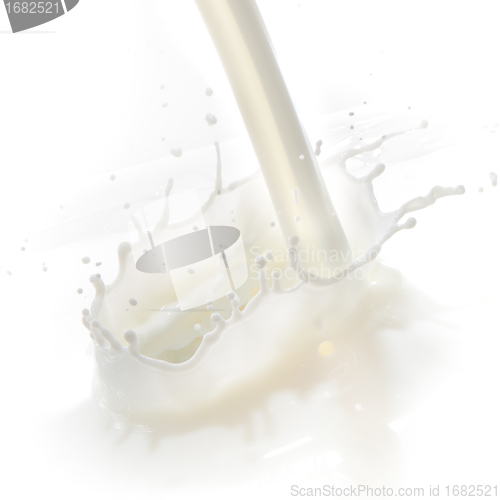 Image of milk splash