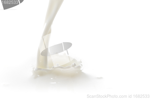 Image of milk splash