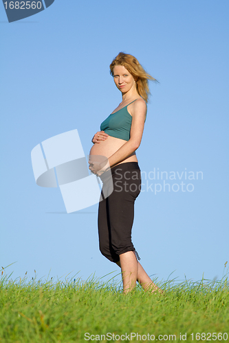 Image of pregnant woman on meadow