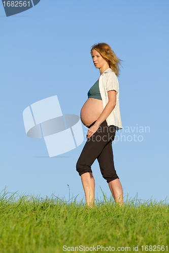 Image of pregnant woman on meadow