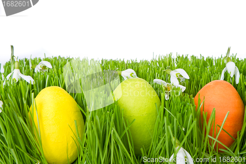 Image of easter eggs in grass
