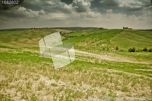 Image of Typical Tuscan landscape