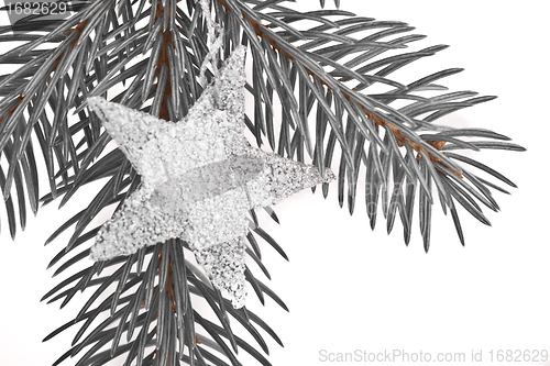 Image of Christmas tree with star
