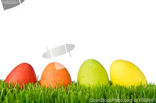 Image of easter eggs in grass