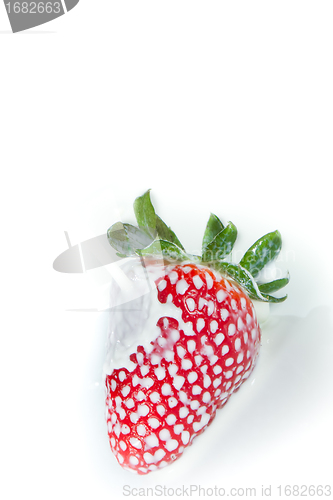 Image of strawberry splashing into milk