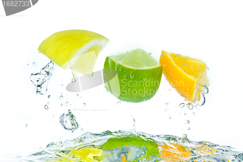 Image of citrus fruit splashing