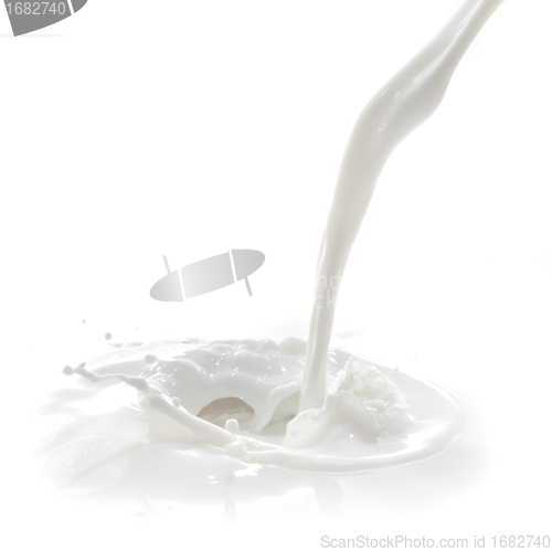 Image of milk splash