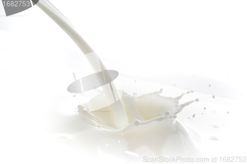 Image of milk splash